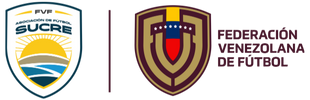 Logo AFES FVF